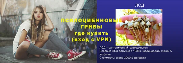 индика Дмитриев