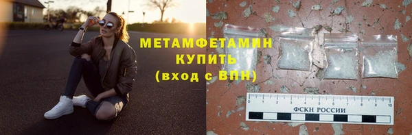 индика Дмитриев