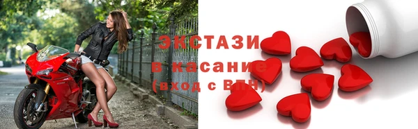 индика Дмитриев