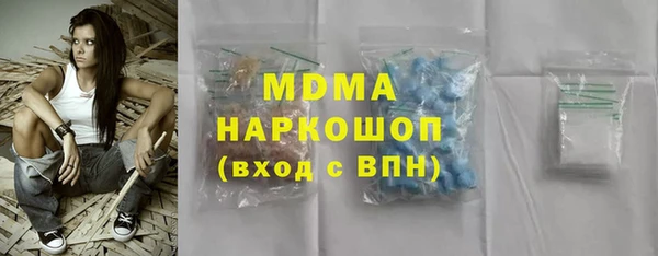 индика Дмитриев