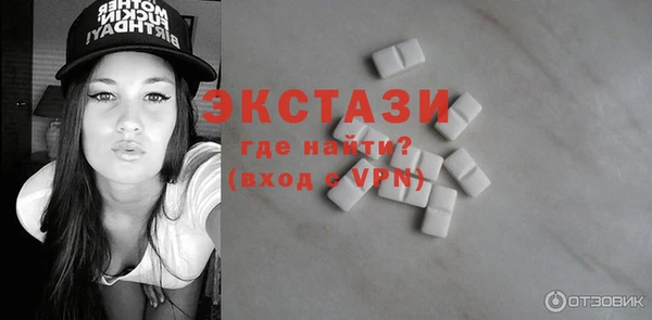 индика Дмитриев
