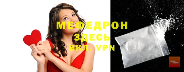 индика Дмитриев