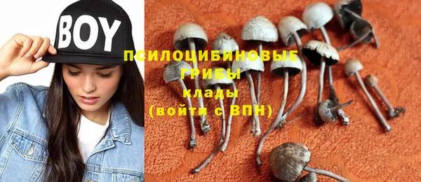 индика Дмитриев