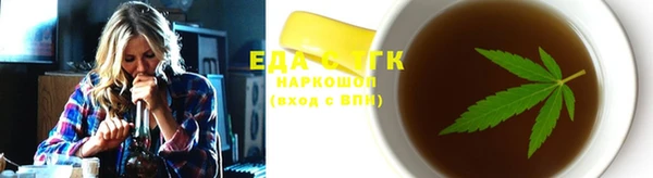 индика Дмитриев