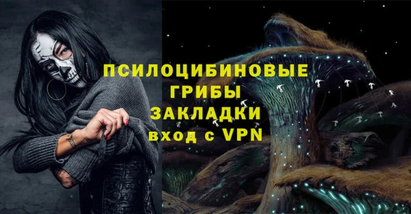 индика Дмитриев