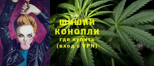 индика Дмитриев