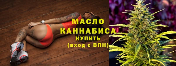 индика Дмитриев