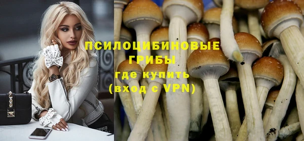 индика Дмитриев