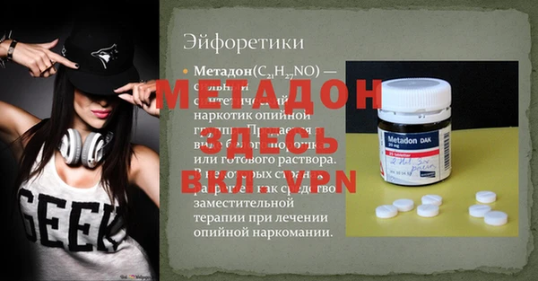 индика Дмитриев