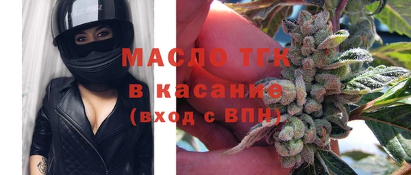 индика Дмитриев