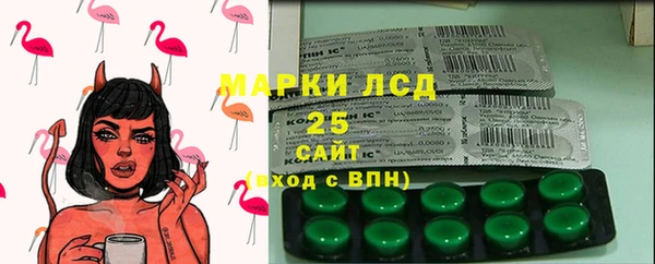 индика Дмитриев