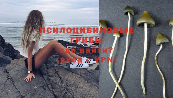 индика Дмитриев