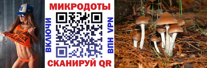 Псилоцибиновые грибы Psilocybe  Купить  Феодосия 